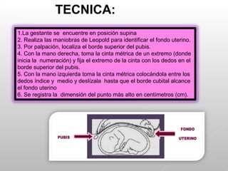 1.La gestante se encuentre en posición supina
2. Realiza las maniobras de Leopold para identificar el fondo uterino.
3. Por palpación, localiza el borde superior del pubis.
4. Con la mano derecha, toma la cinta métrica de un extremo (donde
inicia la numeración) y fija el extremo de la cinta con los dedos en el
borde superior del pubis.
5. Con la mano izquierda toma la cinta métrica colocándola entre los
dedos índice y medio y deslízala hasta que el borde cubital alcance
el fondo uterino
6. Se registra la dimensión del punto más alto en centímetros (cm).
TECNICA:
 