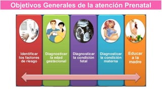 Objetivos Generales de la atención Prenatal
 