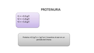 PROTEINURIA
•1 + = 0.3 g/l
•2 + = 1.0 g/l
•3 + = 5.0 g/l
Proteina >0.3 g/l o > 1g/l en 2 muestras al azar en un
periodo de 6 horas
 