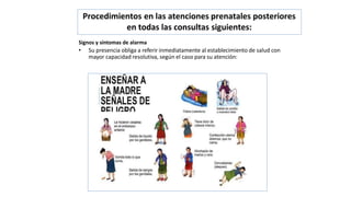 Procedimientos en las atenciones prenatales posteriores
en todas las consultas siguientes:
Signos y síntomas de alarma
• Su presencia obliga a referir inmediatamente al establecimiento de salud con
mayor capacidad resolutiva, según el caso para su atención:
 