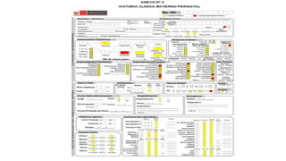 Atencion prenatal reenfocada