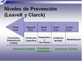 Atencion primaria y niveles de prevencion
