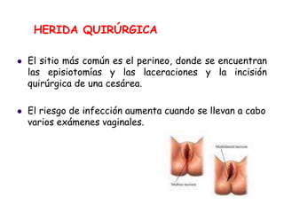  El sitio más común es el perineo, donde se encuentran
las episiotomías y las laceraciones y la incisión
quirúrgica de una cesárea.
 El riesgo de infección aumenta cuando se llevan a cabo
varios exámenes vaginales.
HERIDA QUIRÚRGICA
 