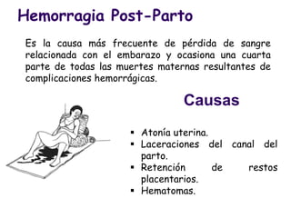 Hemorragia Post-Parto
Es la causa más frecuente de pérdida de sangre
relacionada con el embarazo y ocasiona una cuarta
parte de todas las muertes maternas resultantes de
complicaciones hemorrágicas.
Causas
 Atonía uterina.
 Laceraciones del canal del
parto.
 Retención de restos
placentarios.
 Hematomas.
 