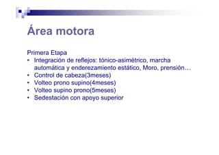 Área motora
Primera Etapa
• Integración de reflejos: tónico-asimétrico, marcha
automática y enderezamiento estático, Moro, prensión…
• Control de cabeza(3meses)
• Volteo prono supino(4meses)
• Volteo supino prono(5meses)
• Sedestación con apoyo superior
 