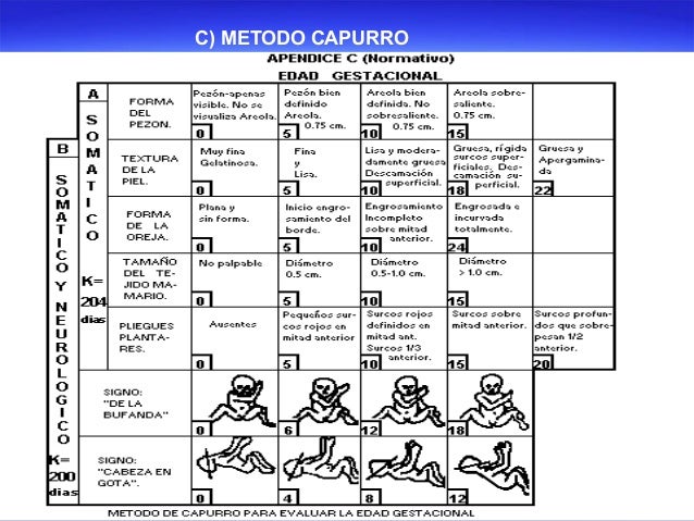 test de capurro en el recien nacido pdf