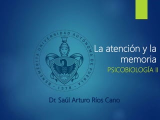 La atención y la
memoria
PSICOBIOLOGÍA II
Dr. Saúl Arturo Ríos Cano
 