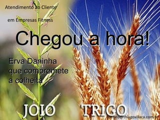 Atendimento ao Cliente

 em Empresas Fitness



    Chegou a hora!
 Erva Daninha
 que compromete
 a colheita



                         contato@thiagovillaca.com.br
 