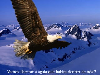Vamos libertar a águia que habita dentro de nós?!
 