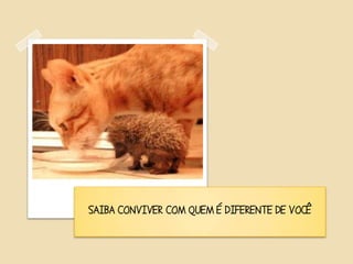 SAIBA CONVIVER COM QUEM É DIFERENTE DE VOCÊ
 