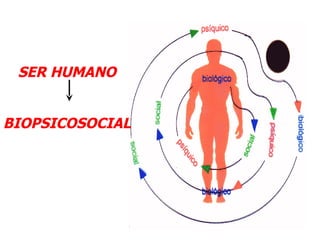 SER HUMANO
BIOPSICOSOCIAL
 