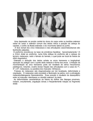 Uma depressão na porção central do dorso do carpo entre os tendões extensor
radial do carpo e extensor comum dos dedos indica a posição da cabeça do
capitato, o centro da flexão-extensão e do movimento lateral do punho.
A face dorsal dos cinco metacarpos e das articulações carpometacárpicas são
facilmente palpadas.
O pisiforme encontra-se na base da eminência hipotênar. Aproximadamente 1,5
a 2,0cm distal ao pisiforme, numa linha oblíqua do pisiforme até a cabeça do
terceiro metacarpo, está o hámulo do hamato, o qual pode ser local de fratura de
difícil diagnóstico.
Extensão e abdução dos dedos achata os arcos transverso e longitudinal;
oposição do polegar com o quinto dedo restaura a forma dos arcos. Limitação da
movimentação do arco transverso pode ser resultado de vários mecanismos
patológicos, incluindo, cicatriz dorsal, fixação das articulações com o carpo do 1º.,
4º. e 5º. metacarpos, ou paralisia dos músculos intrínsecos.
Fraturas do metacarpo são diagnosticadas por dor localizada, deformidade e
crepitação. O metacarpo está encurtado e flexionado na palma, com a articulação
metacarpofalangeana hiperestendida. Essa posição é resultado de desequilíbrio
entre os músculos interósseos e o tendão extensor do dedo.
As deformidades características da fratura da diáfise das falanges proximais,
incluem, encurtamento, angulação dorsal, e freqüentemente rotação do fragmento
distal.
 
