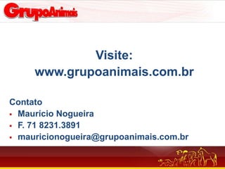 Visite:
     www.grupoanimais.com.br

Contato
 Maurício Nogueira
 F. 71 8231.3891
 mauricionogueira@grupoanimais.com.br
 