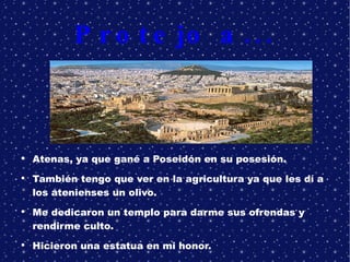 Protejo a... Atenas, ya que gané a Poseidón en su posesión. También tengo que ver en la agricultura ya que les dí a los atenienses un olivo. Me dedicaron un templo para darme sus ofrendas y rendirme culto. Hicieron una estatua en mi honor. 