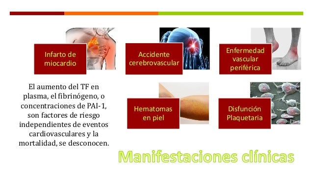 Enfermedad Renal Cronica y hemostasia Enfermedad Renal Cronica y hemostasia