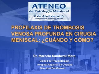 Dr. Marcelo Sandoval Mora
Unidad de Traumatología
Hospital Regional de Copiapó
San José Del Carmen
 