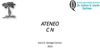 ATENEO
C N
Gary G. Veizaga Carrion
2023
 