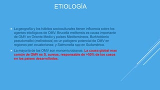 ETIOLOGÍA
 La geografía y los hábitos socioculturales tienen influencia sobre los
agentes etiológicos de OMV. Brucella melitensis es causa importante
de OMV en Oriente Medio y países Mediterráneos. Burkholderia
pseudomallei (melioidosis) es un patógeno potencial de OMV en
regiones peri ecuatorianas; y Salmonella spp en Sudamérica.
 La mayoría de las OMV son monomicrobianas. La causa global mas
común de OMV es S. aureus, responsable de >50% de los casos
en los países desarrollados.
 