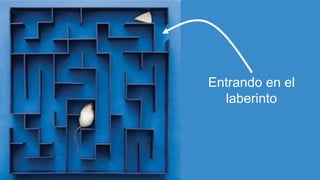 Entrando en el
laberinto
 