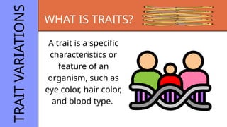 trihybrid cross (Genetics report).pptx