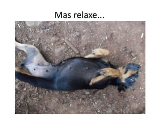 Mas relaxe...
 