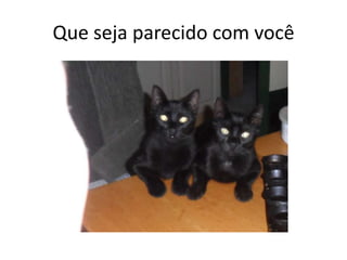 Que seja parecido com você
 