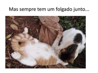 Mas sempre tem um folgado junto...
 