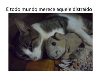 E todo mundo merece aquele distraído
 