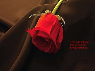 Tem sido sábado, mas já não me perguntam mais. 