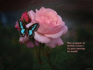 Mas já peguei as minhas coisas e fui para domingo de manhã.  