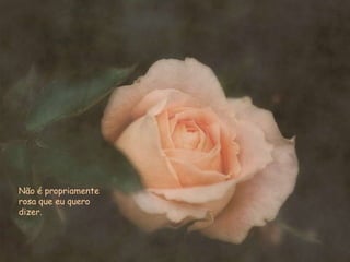 Não é propriamente rosa que eu quero dizer. 