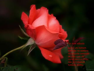 Foi num sábado  que vi um homem sentado na sombra da calçada comendo de uma cuia de carne-seca e pirão; nós já tínhamos tomado banho. 