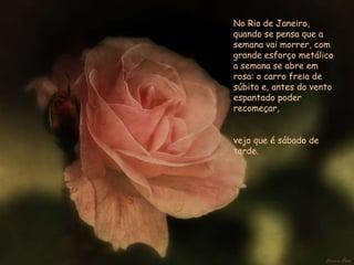 No Rio de Janeiro, quando se pensa que a semana vai morrer, com grande esforço metálico a semana se abre em rosa: o carro freia de súbito e, antes do vento espantado poder recomeçar,  vejo que é sábado de tarde. 