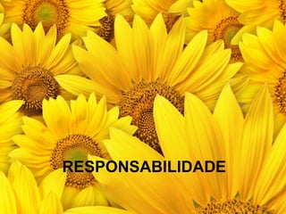 RESPONSABILIDADE
 