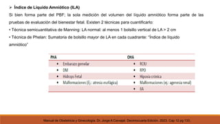 Ila Normal Atención prenatal alto riesgo obstetrico | PPTX