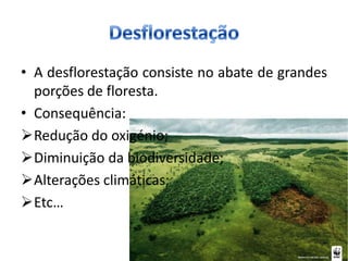 • A desflorestação consiste no abate de grandes
  porções de floresta.
• Consequência:
Redução do oxigénio;
Diminuição da biodiversidade;
Alterações climáticas;
Etc…
 