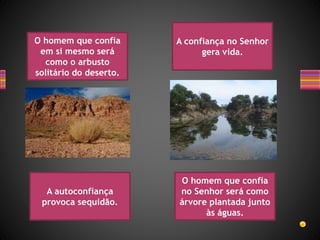 O homem que confia
em si mesmo será
como o arbusto
solitário do deserto.
O homem que confia
no Senhor será como
árvore plantada junto
às águas.
A autoconfiança
provoca sequidão.
A confiança no Senhor
gera vida.
 
