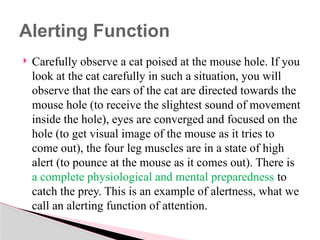  Carefully observe a cat poised at the mouse hole. If you
look at the cat carefully in such a situation, you will
observe that the ears of the cat are directed towards the
mouse hole (to receive the slightest sound of movement
inside the hole), eyes are converged and focused on the
hole (to get visual image of the mouse as it tries to
come out), the four leg muscles are in a state of high
alert (to pounce at the mouse as it comes out). There is
a complete physiological and mental preparedness to
catch the prey. This is an example of alertness, what we
call an alerting function of attention.
Alerting Function
 