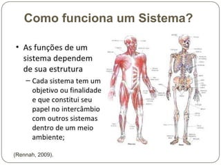 Como funciona um Sistema?

(Rennah, 2009).

 