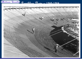 O maior conflito da história
República Nova – 1945-1964
 