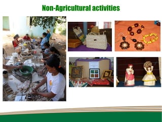 Non-Agricultural activities
 