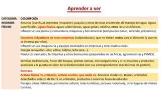 Aprender a ver
CATEGORIA DESCRIPCIÓN
INSUMOS
FÍSICOS
Amunas (quechua), menokos (mapuche), puquíos y otras técnicas ancestrales de manejo del agua. Aguas
superficiales, aguas lluvias, aguas subterráneas, aguas grises, neblina, otros recursos hídricos.
Infraestructura predial y comunitaria, máquinas y herramientas (compra en común, arriendo, préstamos).
Desechos industriales de otras empresas (subproductos), que no tienen costos para el donante (y que no
se interesa por ellos).
Infraestructura, maquinaria y equipos localizados en empresas y otras instituciones.
Energía renovable (solar, eólica, hídrica, leña seca...).
Productos sanitarios, fertilizantes y otros bioinsumos (preparados en las fincas, agroindustrias y PYMES).
Semillas tradicionales, frutos del bosque, plantas nativas, microorganismos y otros insumos y productos
asociados a la puesta en valor de la biodiversidad (con sus correspondientes mecanismos de gestión).
Biomasa.
Activos físicos no utilizados, activos ocultos, que nadie ve. Recursos modestos, trastes, artefactos
desechados, retazos de tierra no utilizados, productos o servicios fuera de estándar.
Paisajes, sitios históricos, patrimonio cultural, rutas turísticas, parques nacionales, otros lugares de interés
turístico.
 