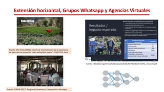 Extensión horizontal, Grupos Whatsapp y Agencias Virtuales
Fuente: CRS (2021) AgriVirtual%20propuesta%20CRS-PROCASUR-CEPAL_marzo29.pdf
Fuente: ETC Andes (2016). Estudio de sistematización de la experiencia
de ejecución de proyectos “Haku wiñay/Noa jayatai”. FONCODES, Perú.
Fuente: FUNICA (2017). Programa Campesino a Campesino en Nicaragua
 