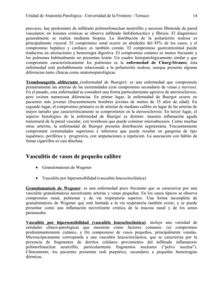 Unidad de Anatomía Patológica - Universidad de la Frontera - Temuco

14

precoces, hay predominio de infiltrado polimorfonuclear neutrófilo y necrosis fibrinoide de pared
vasculares; en lesiones crónicas se observa infiltrado linfohistiocítico y fibrosis. El diagnóstico
generalmente se realiza mediante biopsia. La distribución de la poliarteritis nodosa es
principalmente visceral. El compromiso renal ocurre en alrededor del 85% de los casos, y el
compromiso hepático y cardiaco es también común. El compromiso gastrointestinal puede
traducirse en ulceraciones y hemorragia digestiva. El compromiso cutáneo es menos frecuente y
los pulmones habitualmente no presentan lesión. Un cuadro histopatológicamente similar y que
compromete característicamente los pulmones es la enfermedad de Churg-Strauss; ésta
enfermedad está probablemente relacionada a la poliarteritis nodosa, aunque presenta algunas
diferencias tanto clínicas como anatomopatológicas.
Tromboangeitis obliterante (enfermedad de Buerger): es una enfermedad que compromete
primariamente las arterias de las extremidades (con compromiso secundario de venas y nervios).
En el pasado, esta enfermedad se consideró una forma particularmente agresiva de ateroesclerosis,
pero existen numerosas diferencias. En primer lugar, la enfermedad de Buerger ocurre en
pacientes más jovenes (frecuentemente hombres jovenes de menos de 35 años de edad). En
segundo lugar, el compromiso primario es de arterias de mediano calibre en lugar de las arterias de
mayor tamaño que característicamente se comprometen en la ateroesclerosis. En tercer lugar, el
aspecto histológico de la enfermedad de Buerger es distinto: muestra inflamación aguda
transmural de la pared vascular, con trombosis que puede contener microabscesos. Como muchas
otras arteritis, la enfermedad de Buerger presenta distribución segmentaria. Frecuentemente
compromete extremidades superiores e inferiores que puede resultar en gangrena de tipo
isquémico, periférica y progresiva, con amputaciones a repetición. La asociación con hábito de
fumar cigarrillos es casi absoluta.

Vasculitis de vasos de pequeño calibre
•

Granulomatosis de Wegener

•

Vasculitis por hipersensibilidad (vasculitis leucocitoclástica)

Granulomatosis de Wegener: es una enfermedad poco frecuente que se caracteriza por una
vasculitis granulomatosa necrotizante arterias y venas pequeñas. En los casos típicos se observa
compromiso renal, pulmonar y de vía respiratoria superior. Una forma incompleta de
granulomatosis de Wegener que está limitada a la vía respiratoria también existe, y se puede
presentar como una inflamación necrotizante crónica de la mucosa nasal y de los senos
paranasales.
Vasculitis por hipersensibilidad (vasculitis leucocitoclástica): incluye una variedad de
entidades clínico-patológicas que muestran como factores comunes: (a) compromiso
predominantemente cutáneo, y (b) compromiso de vasos pequeños, principalmente venulas.
Microscópicamente corresponde a una vasculitis leucocitoclástica, que se caracteriza por la
presencia de fragmentos de detritos celulares provenientes del infiltrado inflamatorio
polimorfonuclear neutrófilo, particularmente fragmentos nucleares (“polvo nuclear”).
Clínicamente, los pacientes presentan rash purpúrico, secundario a pequeñas hemorragias
dérmicas.

 