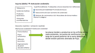 las placas tienden a producirse en los orificios de los
vasos existentes, los puntos de ramificacion, y a lo
largo de la pared posterior de la aorta abdominal,
donde existen patrones alterados de flujo.
 