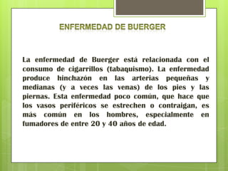 La enfermedad de Buerger está relacionada con el
consumo de cigarrillos (tabaquismo). La enfermedad
produce hinchazón en las arterias pequeñas y
medianas (y a veces las venas) de los pies y las
piernas. Esta enfermedad poco común, que hace que
los vasos periféricos se estrechen o contraigan, es
más común en los hombres, especialmente en
fumadores de entre 20 y 40 años de edad.
 