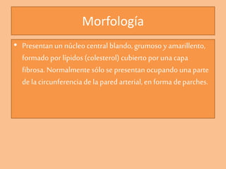Morfología
• Presentanun núcleo central blando, grumoso y amarillento,
formado por lípidos(colesterol) cubierto por unacapa
fibrosa. Normalmentesólo se presentanocupando una parte
de la circunferencia de la pared arterial, en forma deparches.
 
