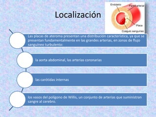 Localización
Las placas de ateroma presentan una distribución característica, ya que se
presentan fundamentalmente en las grandes arterias, en zonas de flujo
sanguíneo turbulento:
la aorta abdominal, las arterias coronarias
las carótidas internas
los vasos del polígono de Willis, un conjunto de arterias que suministran
sangre al cerebro.
 