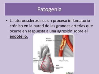 Patogenia
• La ateroesclerosis es un proceso inflamatorio
crónico en la pared de las grandes arterias que
ocurre en respuesta a una agresión sobre el
endotelio.
 