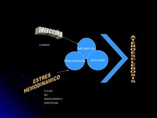 METABÓLICA PROLIFERACIÓN INFECCIÓN ATEROESCLEROSIS ESTRES HEMODINÁMICO INFECCIÓN FLUJOS NO ANGIOTENSINA II ENDOTELINA CLAMIDIA 